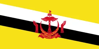 eSIM para Brunei