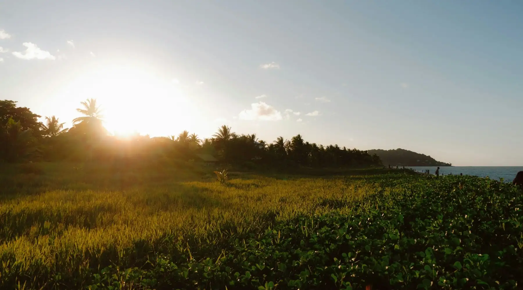 eSIM para Guiana Francesa