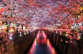 eSIM para Japão
