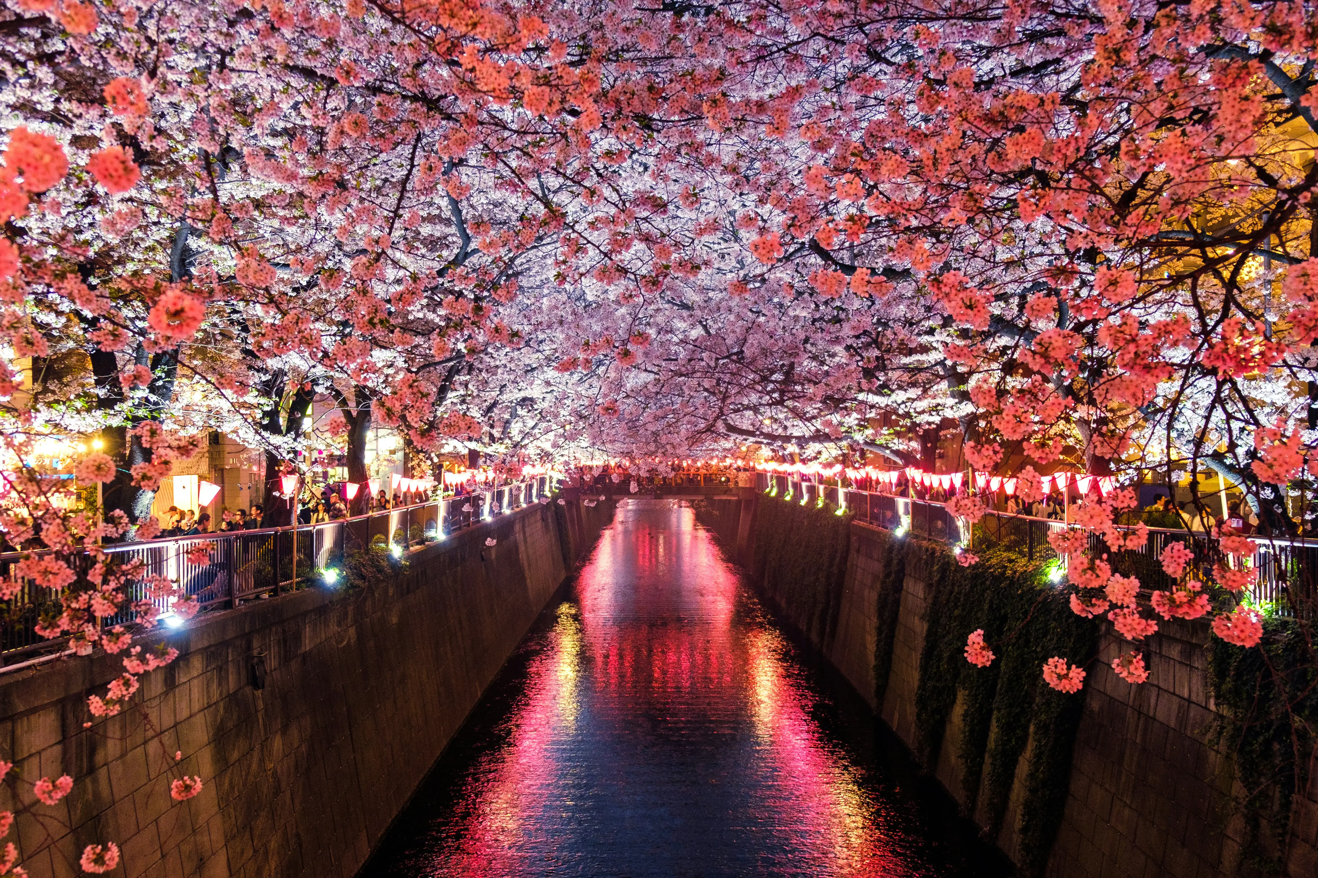 eSIM para Japão